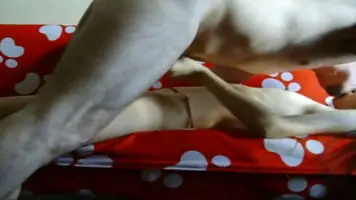 Bokep Jilbab Ukhti Ganas Anak Pesantren Viral